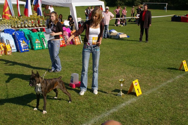 www.boxer-show.eu
